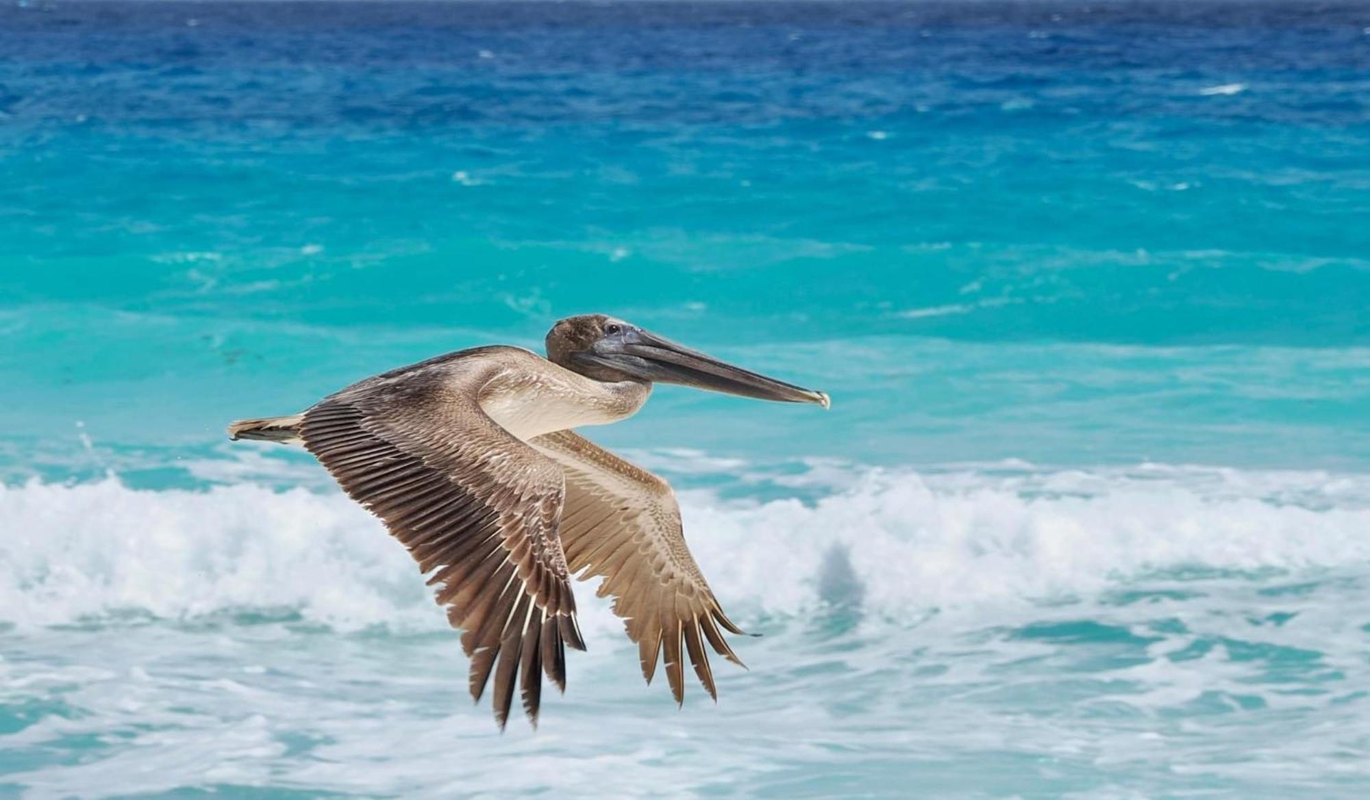 Solymar Beach Condos Cancún Eksteriør bilde
