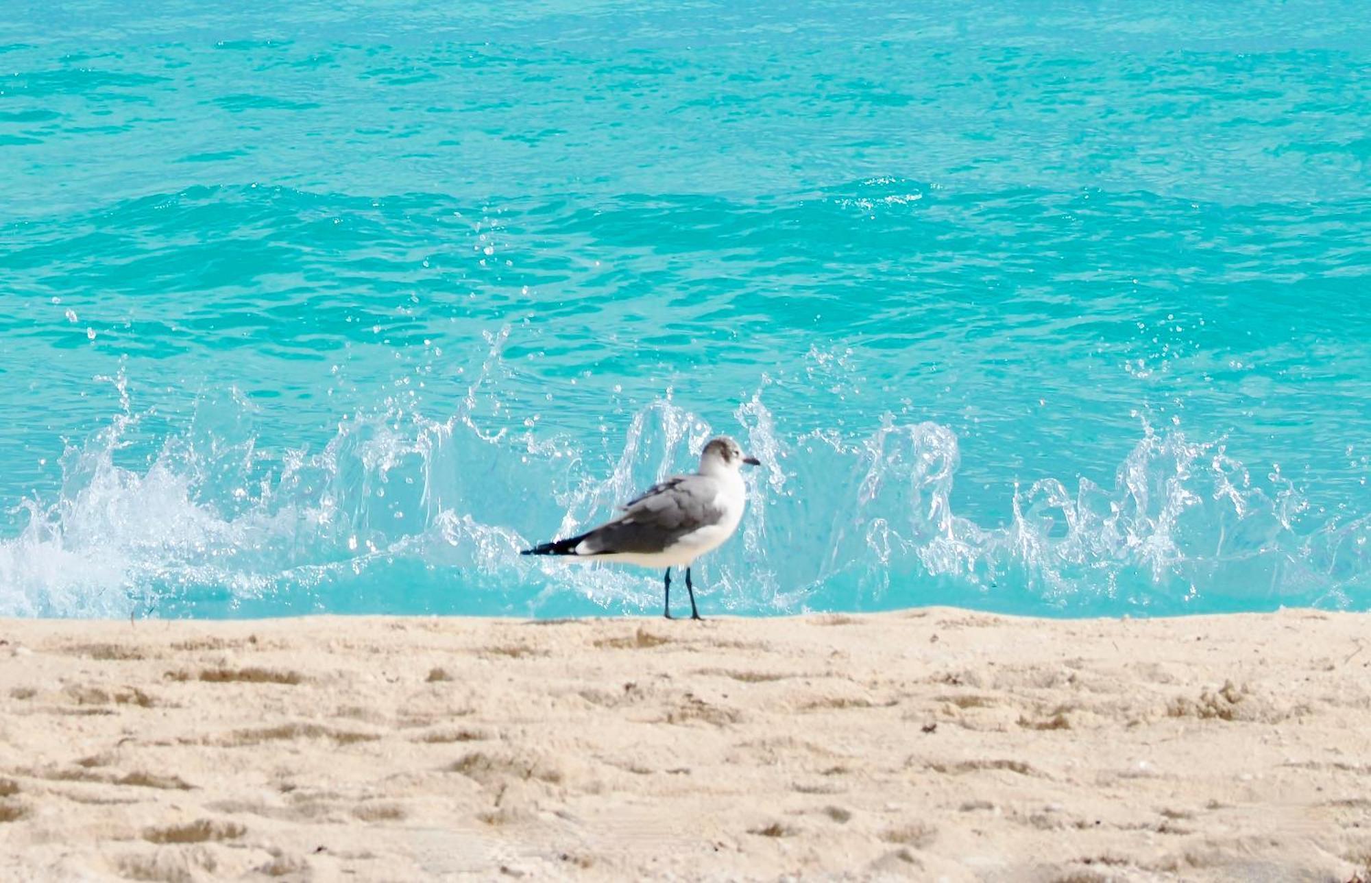 Solymar Beach Condos Cancún Eksteriør bilde